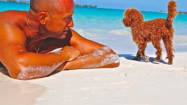 Stefano Bettarini all'Isola dei famosi 2016: brutta sorpresa per ... - igossip.it