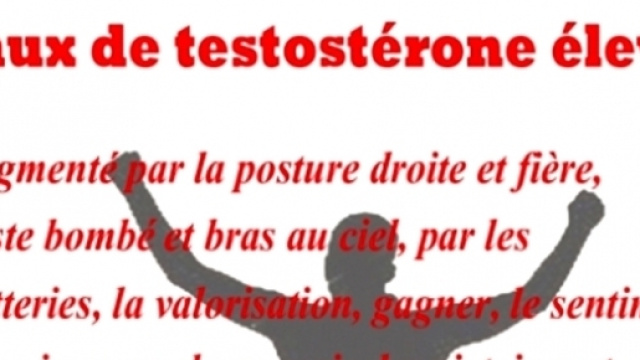 Taux de testost&eacute;rone &eacute;lev&eacute; (Via creer-son-bien-etre.org Sophie Berger