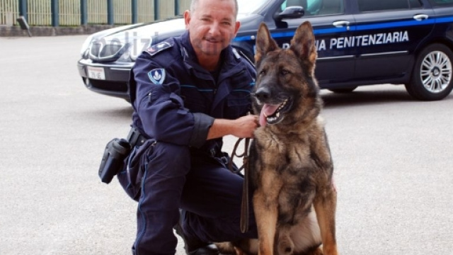 Alessandria - Alessandria, giornata dedicata alla Polizia ... - alessandrianews.it