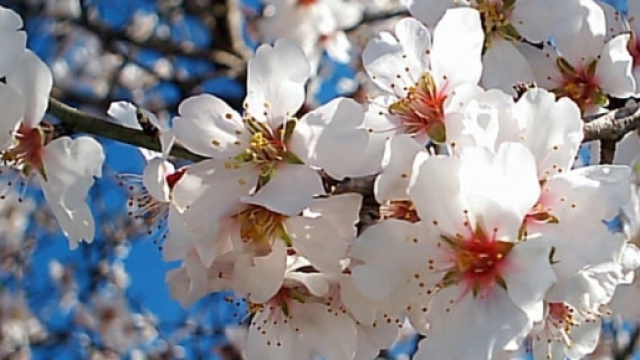 PrenotareinSicilia - Voli, Transfer, Hotel, B&B, Appartamenti ... - prenotareinsicilia.it