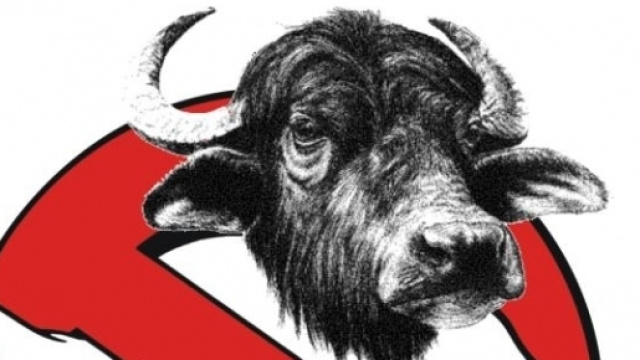 Beppe Grillo lancia il sondaggio 'Bufalino d'oro' per smascherare le bufale contro il M5S