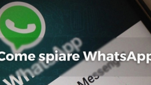 Come spiare conversazioni WhatsApp - phonetoday.it