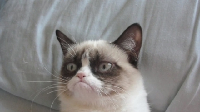 Il blue monday, il luned&igrave; nero degli inglesi