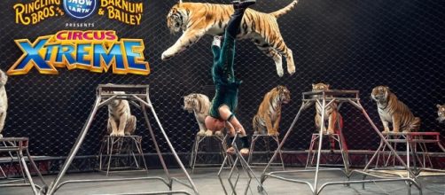 Ringling Bros and Barnum & Bailey - Photo: Blasting News Library - usbankarena.com