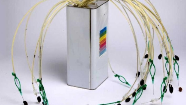 BitontoTV - Olio d'artista: quando il contenitore valorizza il ... - bitontotv.it