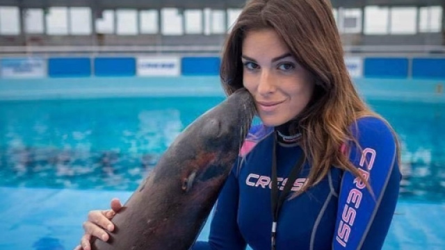 Gessica Notaro, l'ex era gi&agrave; stato segnalato per ... - ajudu.com