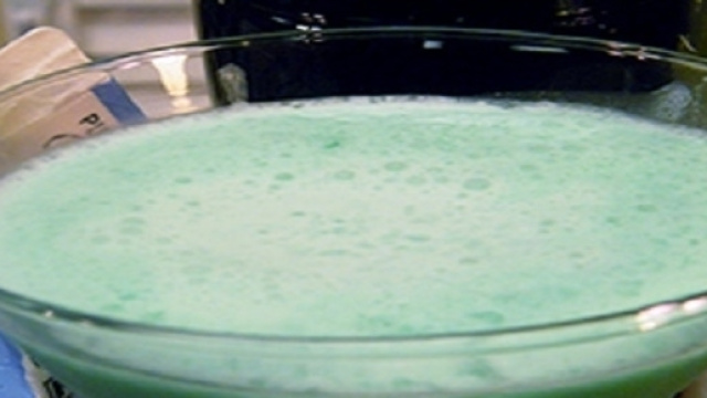 Il verde chiaro del Grasshopper