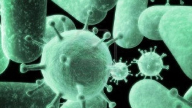 Super batterio resistente agli antibiotici, allarme negli USA ... - nanopress.it