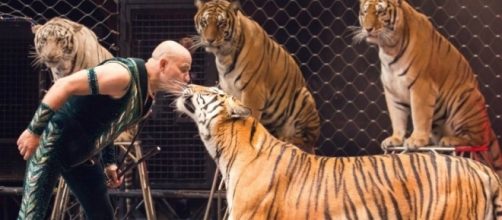 Ringling Bros. Circus - ringling.com