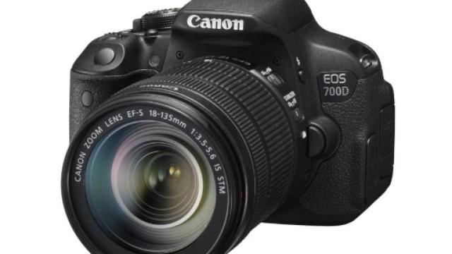 Canon assume personale in Italia