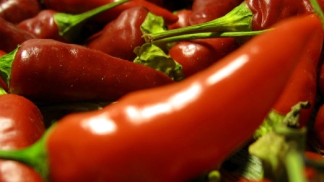 Festival del peperoncino piccante di Filetto dal 18 al 21 agosto - chietitoday.it