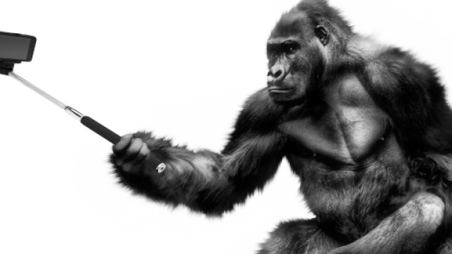 Il terzo millennio &egrave; l'era del selfie, mania universale ma non uguale per tutti. Foto: pixabay