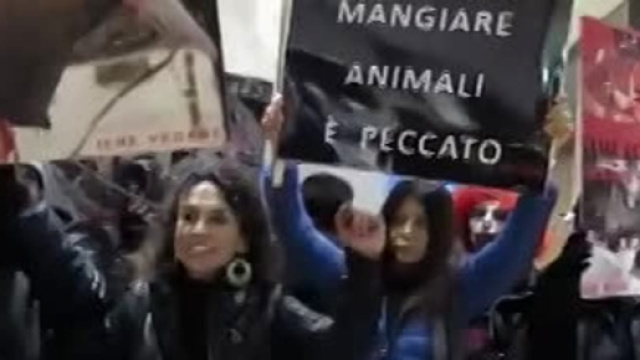Milano, animalisti al McDonald's in Duomo: "Assassini" | VIDEO Video - milanotoday.it