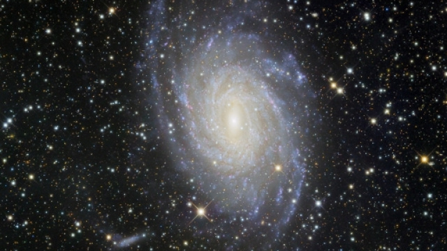 Novit&agrave; dalla Scienza - altervista.org