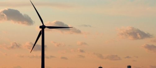 Tinnitus Videos at ABC News Video Archive at abcnews.com - go.com