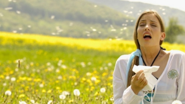 Allergie dei bambini: da Physiomedica una diagnosi precoce per una ... - vincenzomancuso.it