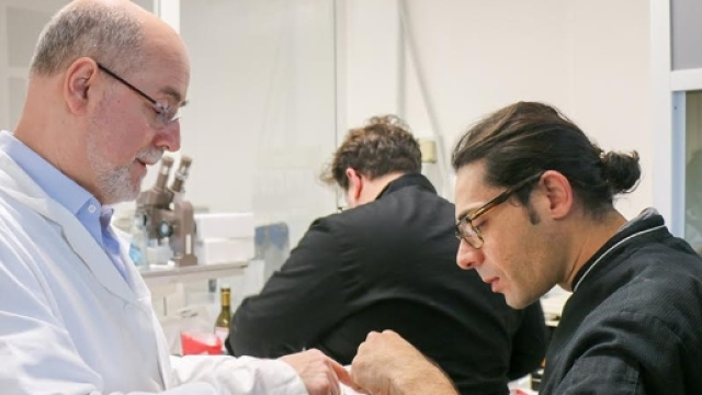 Assunzioni in Toscana settore sanitario