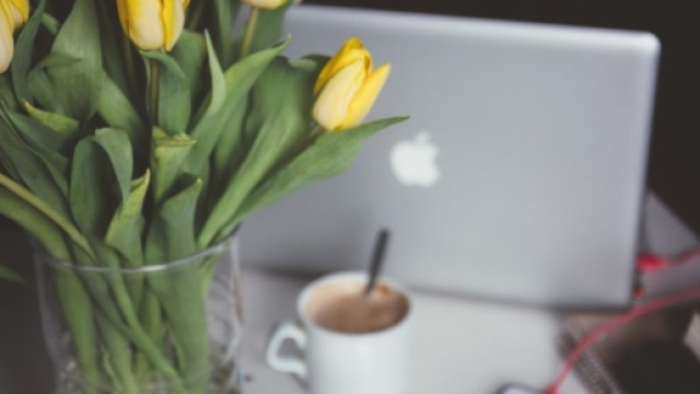 Come e quanto guadagna un web influencer