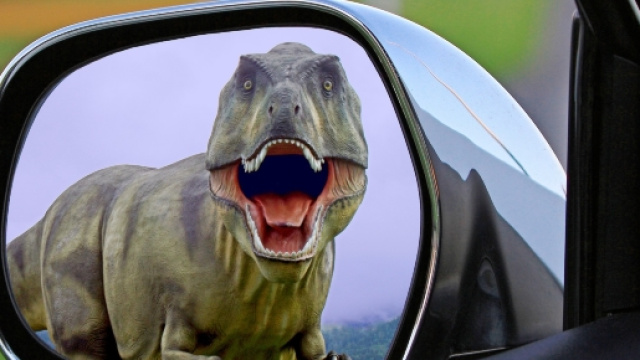 Decisamente improbabile oggi vedere un dinosauro dallo specchietto mentre si &egrave; in auto nel traffico ma non si sa mai! Foto: pixabay