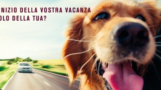 Enpa Onlus Sezione di Brescia: 26/06/16 - 03/07/16 - blogspot.com