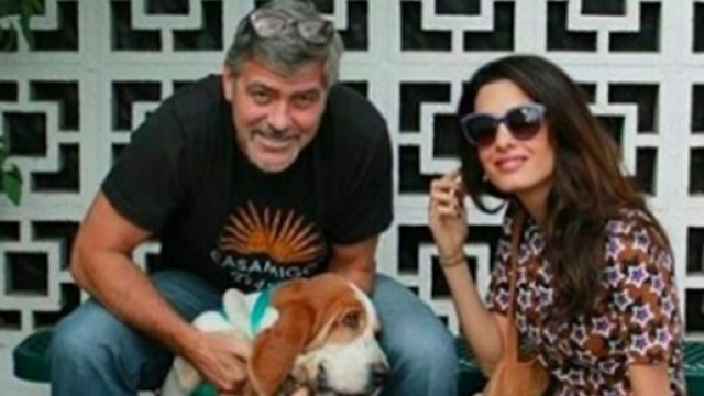 George Clooney e Amal. Foto via SGV Humane Society