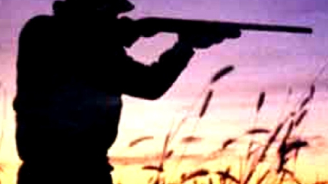 Germania, cacciatore spara e uccide ragazzo: credeva fosse un cinghiale