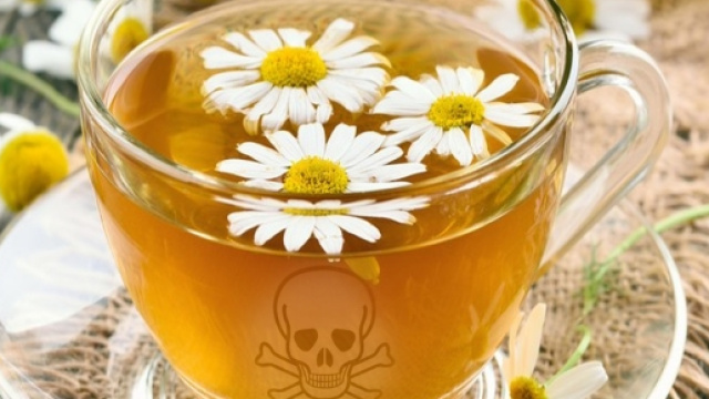 Tisanes et th&eacute;s toxiques &eacute;pingl&eacute;s par diff&eacute;rentes &eacute;tudes - Montage photo SBS