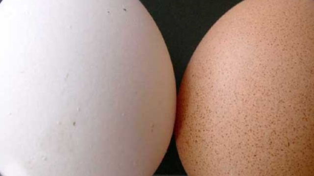 Uova di gallina - Tutto sulle uova | Alimentipedia: enciclopedia ... - alimentipedia.it
