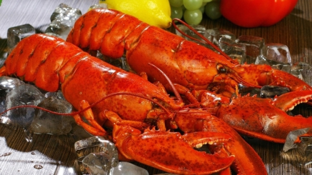 Aragoste, astici e granchi soffrono e ricordano: chi oser&agrave; mangiarle? Foto: pixabay