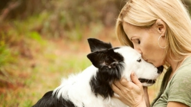Baciare e farsi baciare dal cane potrebbe essere dannoso