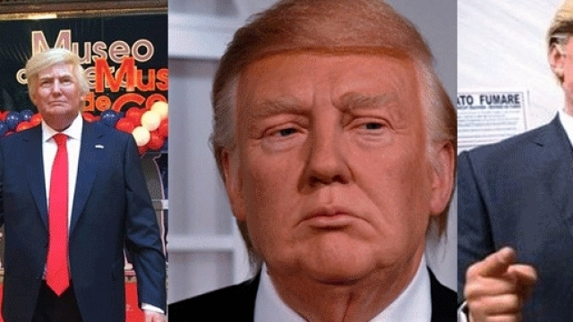 De g. &agrave; d. : le Trump de cire madril&egrave;ne, londonien et romain. La mite Neopalpa donaltrumpican est beaucoup moins attrayante...