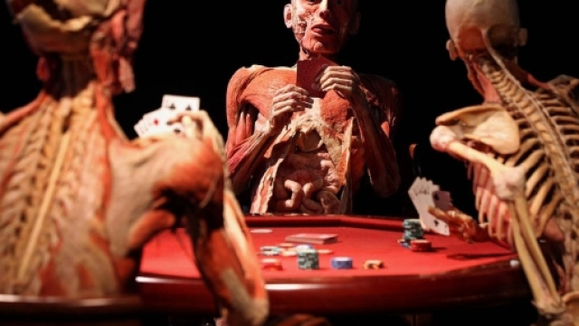 Milano, palpeggiano parti intime dei corpi plastinati: ragazze allontanate dalla mostra