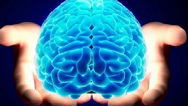 Non si conoscono ancora le motivazioni ma, &egrave; evidente, la dieta mediterranea riesce, negli anziani, a mantenere in buone condizioni il cervello.