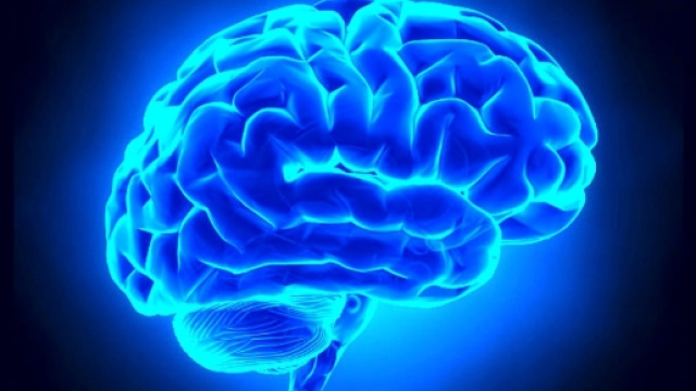 Settimana del Cervello: a Trieste la manifestazione internazionale ... - triesteprima.it