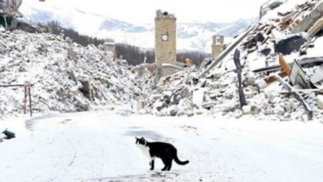 Terremoto, lo scandalo dei soldi inutilizzati | Lineadiretta24