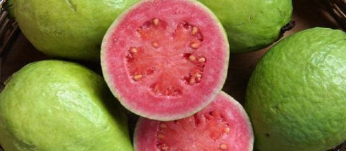 Recome&ccedil;ar: GOIABA AJUDA NO CONTROLE DA DIABETES. CONHE&Ccedil;A OUTROS 5 ... - blogspot.com