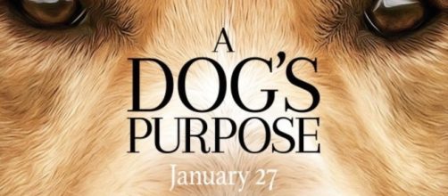 Not so happy development for Amblin's 'A Dog's Purpose' / Photo from 'EventBrite' - eventbrite.com