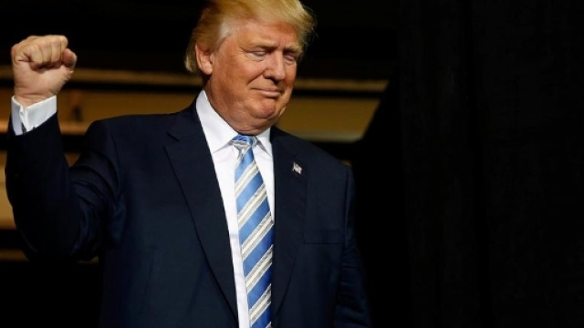 USA 2016, Donald Trump sicuro della vittoria in Florida | Euronews - euronews.com