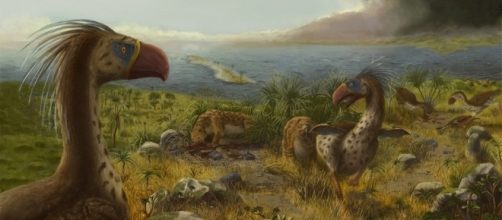 The terror, Prehistoric and Birds on Pinterest - pinterest.com
