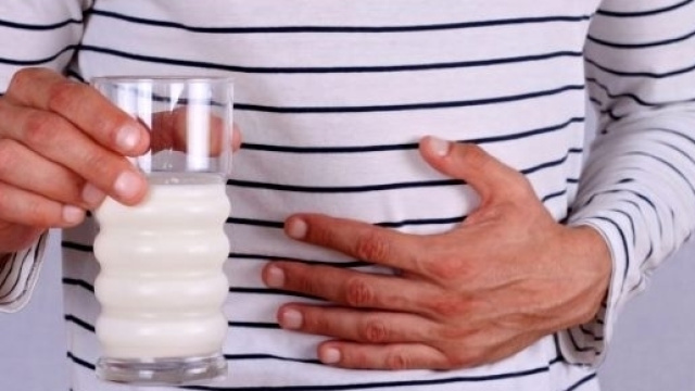 I prebiotici migliorano aumentano la tolleranza al lattosio.