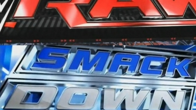 Risulttati ed opinioni di Raw e Smackdown post-Royal Rumble