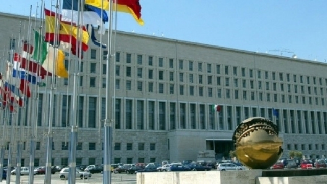 Opportunit&agrave; per la carriera diplomatica al Ministero degli Esteri