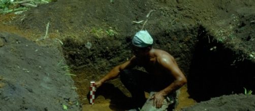 Hombre del amazonas buscando terra petra