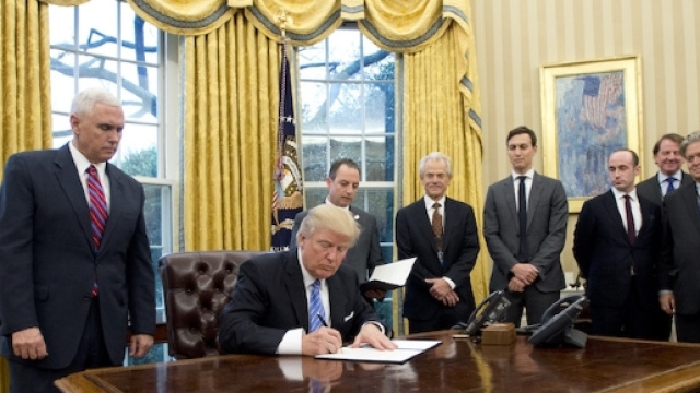 Donald Trump, nella Sala Ovale