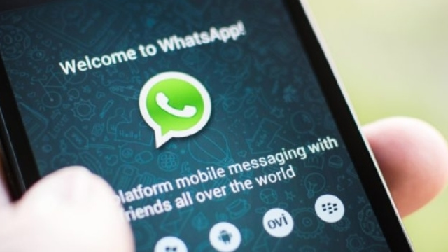 Whatsapp invia messaggi offline