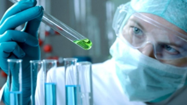 Creato embrione per met&agrave; uomo e per met&agrave; animale