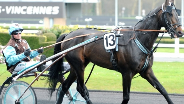 Diretta Tv, programma e orari Grand Prix d&rsquo;Amerique 2017 - 29 gennaio