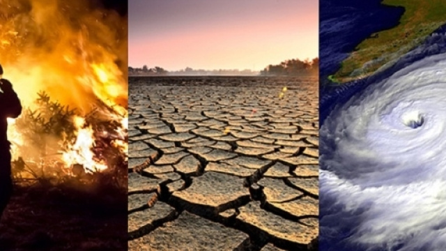 Incedi, siccit&agrave; e tempeste: le cause del global warming