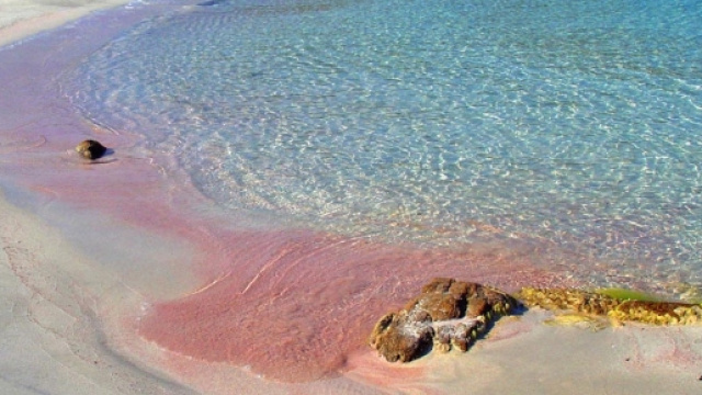 La meravigliosa spiaggia di Budelli.