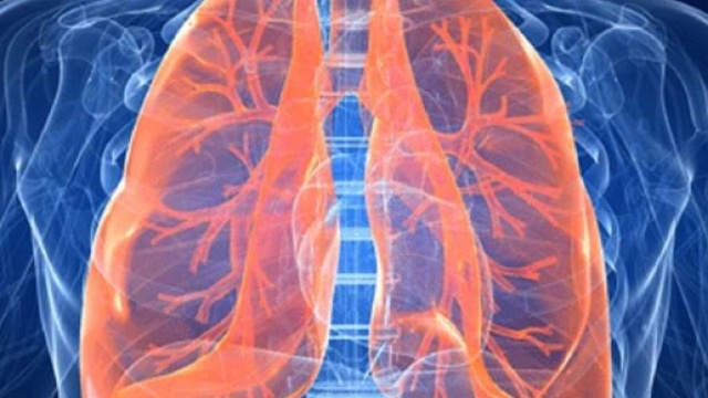 Vivere 6 giorni senza polmoni, &egrave; possibile - Data Manager Online - datamanager.it